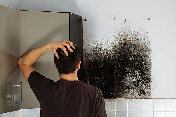 Best Emergency Mold Remediation in Kadelphia, AR